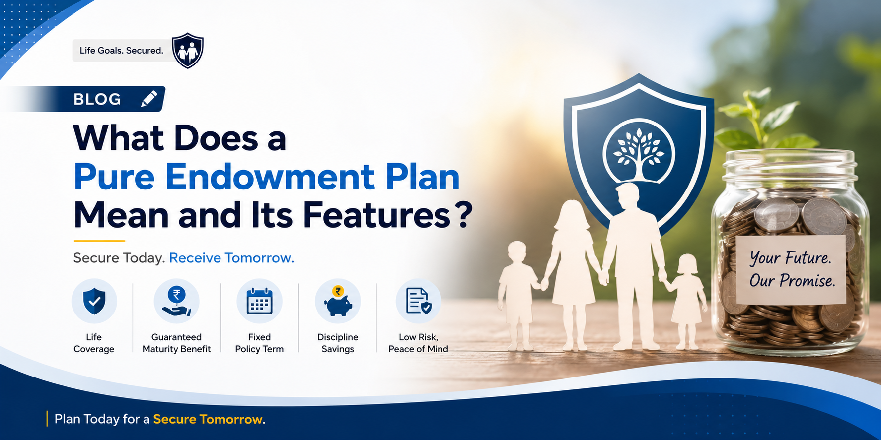 What Does a Pure Endowment Plan Mean and Its Features ?